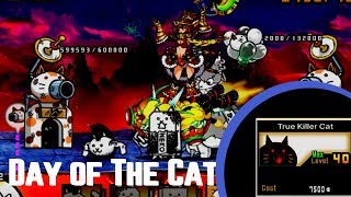 Battle Cats Day of the Cat