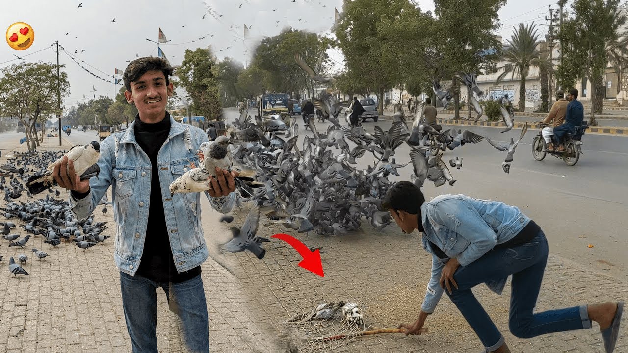 Road Se Sare Nayab Pigeons Paker Liye🕊️🥳|| Maza Agaya😍|| How To Catch🪤 Pigeons🕊️