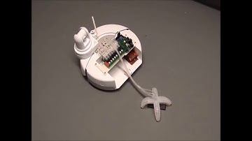 A Hybrid Combining Hard and Soft Robots