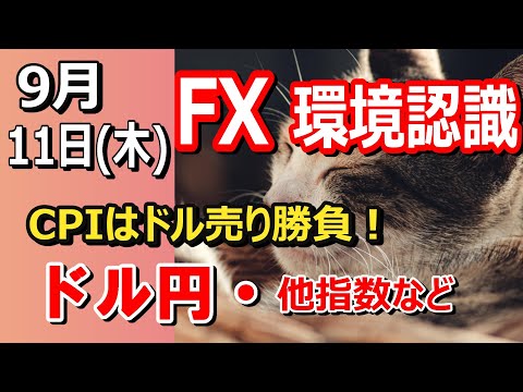 【TAKA FX】さぁCPIはドル売り勝負！　ドル円他各通貨の環境認識解説。各種指数、GOLDなど　9月11日(木)