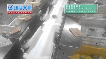 Oyster sorting machine from DaHang automation Ltd