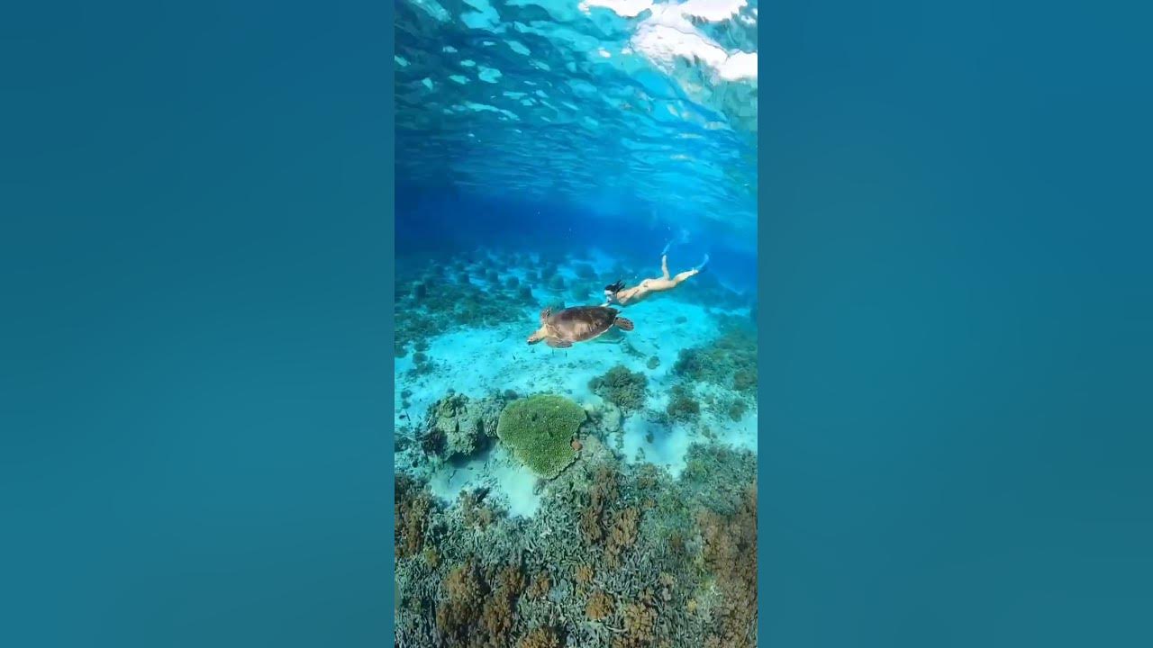 Picture yourself snorkeling in the crystal-clear waters of #GiliIslands . by IG @agul_bottom