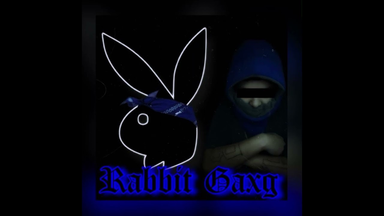 MoneyMafia- Rabbit Gaxg