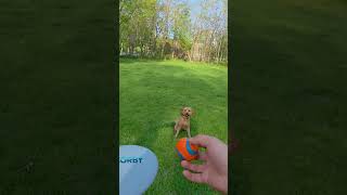 Barkshire Hathaway EP4