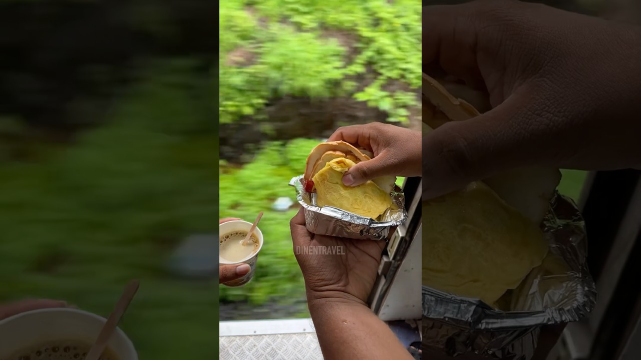 Как заказать еду с помощью Swiggy/Zomato во время поездки в поезде 