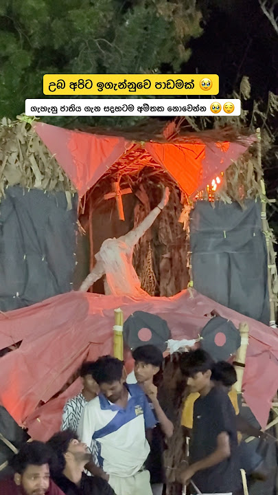 හැමෝම එහෙම ණෑ ඒත් 🥹😌