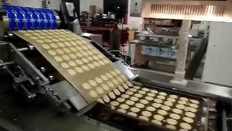 Mini tray rotary moulder