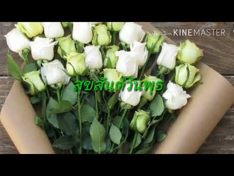 อรุณสวัสดิ์วันอังคาร "รักแท้อยู่เหนือกาลเวลา"(Ost.สุภาพบุรุษจุฑาเทพ)