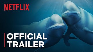 Our Oceans Barack Obama | Official Trailer 🔥November 20 🔥NETFLIX
