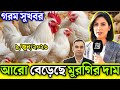 9 June 2026 || আজকের ব্রয়লার ও সোনালী মুরগির পাইকারি দাম জানুন || আজকের মুরগির বাজার দর জেনে নিন