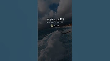 #صوت_جميل_رائع #قران_كريم #راحة_نفسية #المصحف #quranreaction ##الشيخ_ياسر_الدوسري #سورة_الزمر