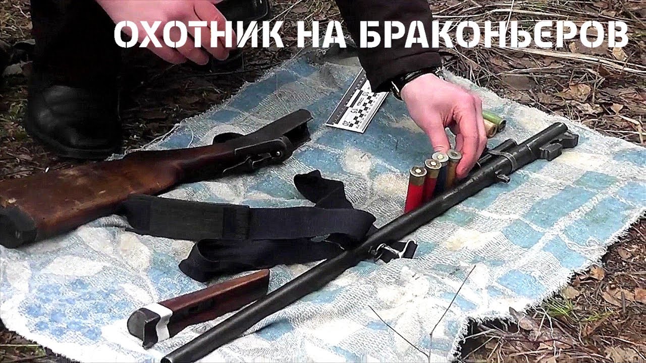 Браконьеры на оке