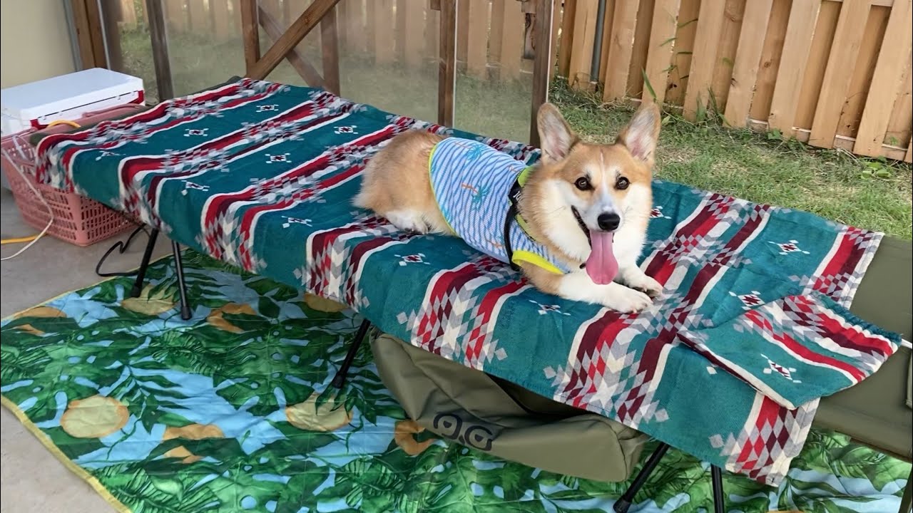 も〜っと♪那須キャンプ【成功山キャンプに集まった⁉︎】