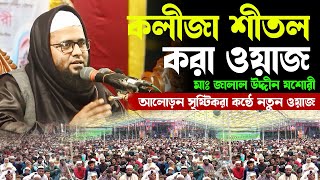 কলীজা শীতল করা ওয়াজ || মাওলানা জালাল উদ্দিন যশোরী Maulana Jalaluddin Jessori || New Bangla waz 2023