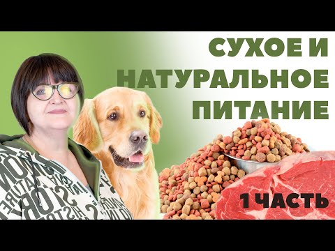 Сухое и натуральное питание. Какое выбрать? - 1 Часть - Питание собаки.