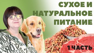 Сухое и натуральное питание. Какое выбрать? - 1 Часть - Питание собаки.