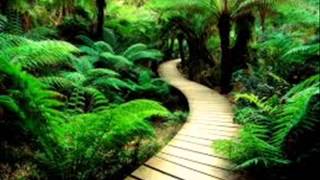 Download Lagu wander boys -suatu hari nanti versi ahmad MP3