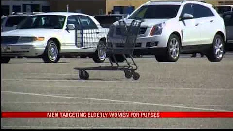 MPD: Purse Snatcher Preying on Elderly Women