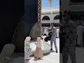 Masha,Allah Makkah live Madina live 🤲 #makkah #madina #cute #hajjlive #khanakaba #shortvideo #shorts