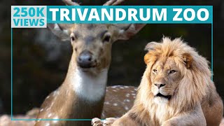 Thiruvananthapuram Zoo - YouTube