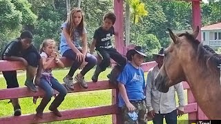 Horse Camp Fun Adventures at Banana Bank Lodge, Belize