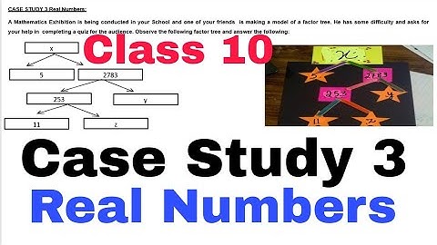 Case Study I Real Numbers I Class 10 I Math I cbse 2023