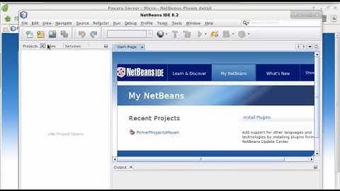 Vincular Payara Server 5.182 con NetBeans 8.2