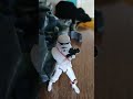 scorch has a hard time with these tk troopers  #bad batch #starwars