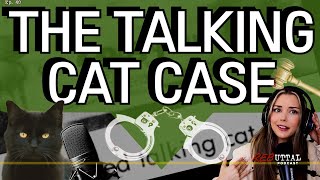Download Lagu The Talking Cat Case Download Lagu The Talking Cat Case