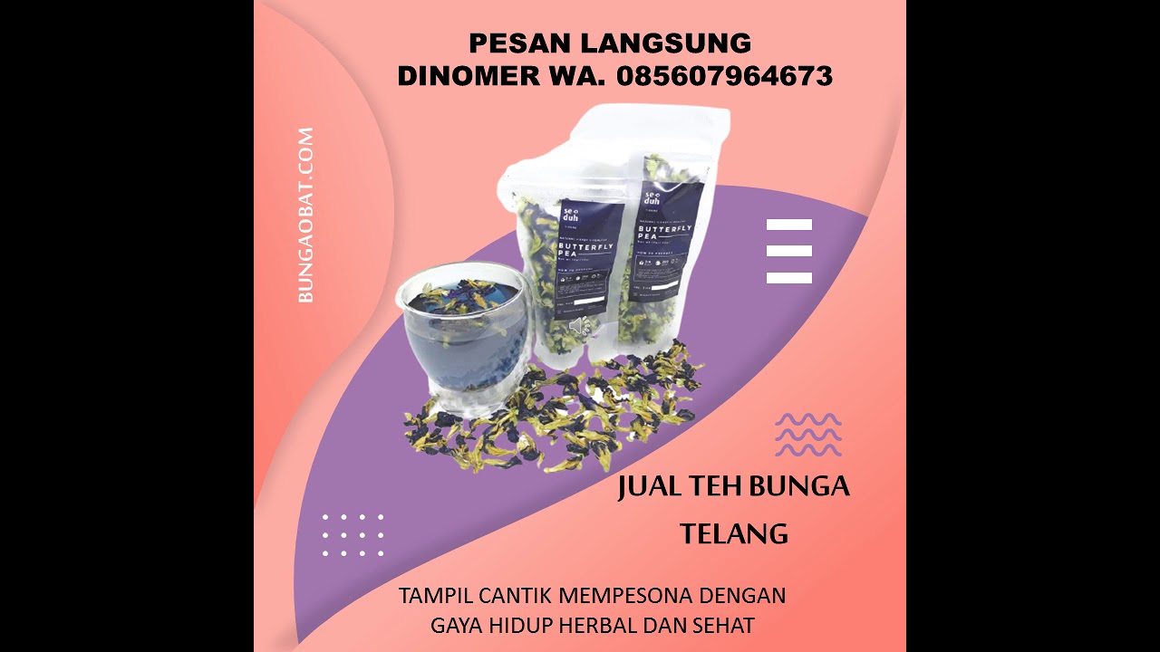 Teh Bunga Telang Pie Teh Teh Butterfly Teh Biru Teh Telang Teh Youtube