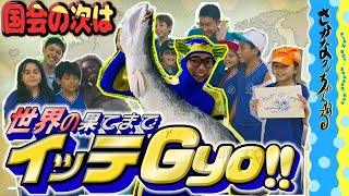 【国会の次は！】世界の果てまでイッテGyo！【JICAさんとの活動】