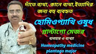 Plantago Q Homeopathy Medicine Plantago Major Uses For Teeth Plantago Major Homeopathic Medicine