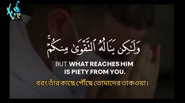 surah al hajj ayah 37 سورة الحج ٣٧