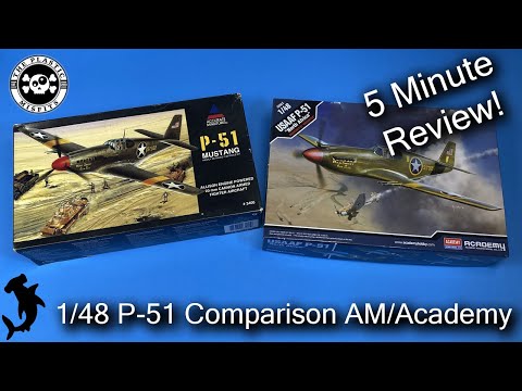 Accurate Miniatures and Academy 1/48 P-51 Comparison | Nostalgia Review