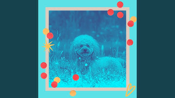 Cheerful Backdrops for Puppy Party Time