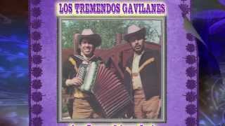 LOS TREMENDOS GAVILANES * El Chubasco (En Vivo)