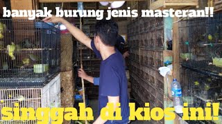 banyak burung jenis masteran!!singgah di kios ini!