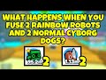 What happens when you fuse 2 Rainbow Robots and 2 Normal Cyborg Dogs? [PET SIMULATOR X]