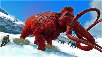 My new  ALPHA MAMMOTH has over 150