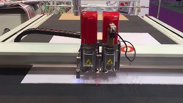 iECHO reverse CCD Back Side printed Cutting