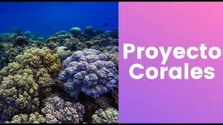 Proyecto Corales