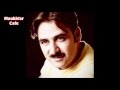 اسعد زكي واجمل المواويل المردلية 3  