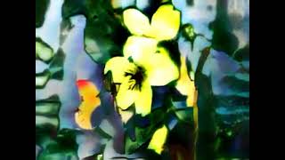 00006Cf0 90F2 07Ff Fadf 2790 0805 805C Cab5 30B4 8F68 29Cc 01A6 D91A ............0..H.....