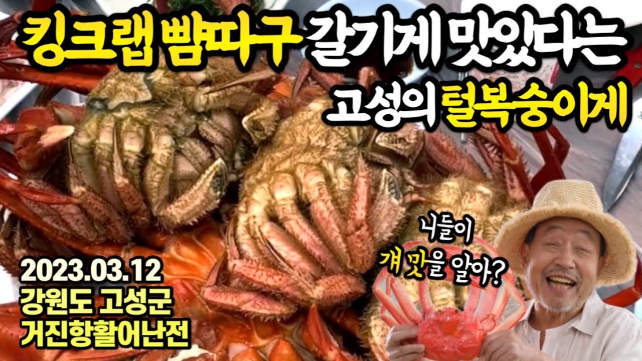 이제 더이상 ‘먹고싶어도 못 먹게’ 됩니다.킹크랩보다 더 맛있다는 ‘이것’,맛보시려면 서두르세요😙고성 거진항 수산시장 최신시세