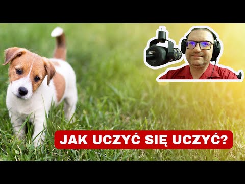 Wideo: 8 chorób oczu, które należy uważać na psa