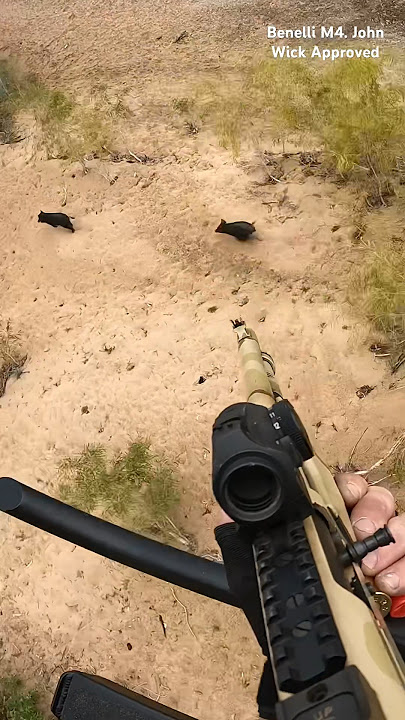 The Benelli M4. Likely the best semi- auto shotgun ever made! #aerialshooting #benelli #m4