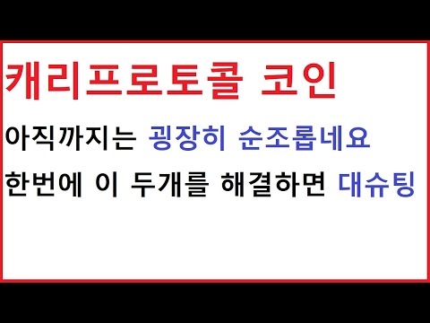 캐리프로토콜 코인 두개가 한꺼번에 겹쳐버린 매우 중요구간 이곳을 넘어갈때 키포인트는 이겁니다 