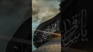 Harder e karat #karbala #love #loveallah786 #islamicmusic #viral #allah #allahnaat #like #view