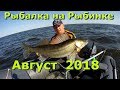 Рыбалка на Рыбинском Водохранилище .