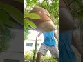 Masanay Ka Din 🠥🥊❠️🠏 Youtube Subscribe Travel Foryoupage Funny Youtuber Youtubeshorts Masanay Ka Din 🠥🥊❠️🠏 Youtube Subscribe Travel Foryoupage Funny Youtuber Youtubeshorts